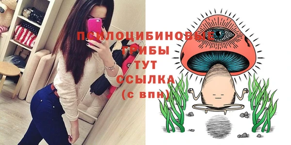 гидра Беломорск