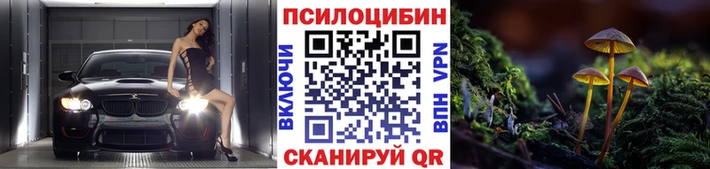 Псилоцибиновые грибы MAGIC MUSHROOMS  купить наркотик  Нововоронеж 