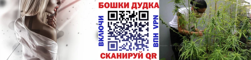 МАРИХУАНА AK-47 где найти наркотики Нововоронеж